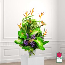 Beretania's Pumehana Tropical Bouquet (Standard)