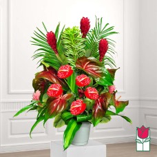 Beretania's Birch Tropical Bouquet (Standard)