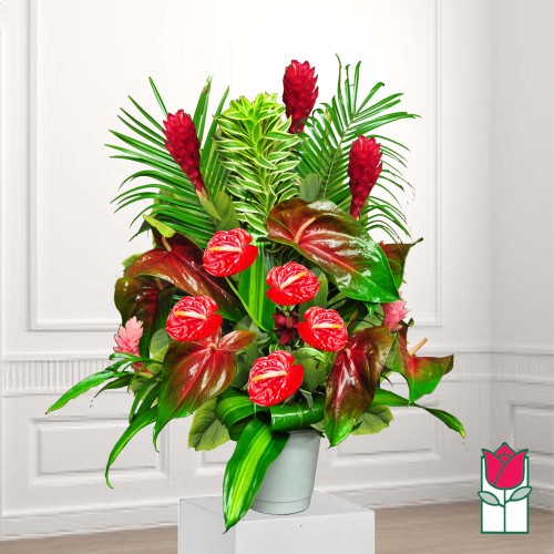 Beretania's Birch Tropical Bouquet (Standard)