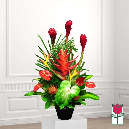 Beretania's Thurston Tropical Bouquet (Standard)