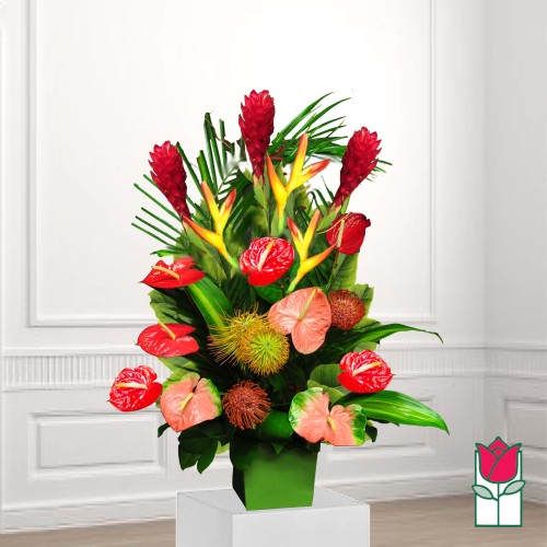 Beretania's Pawaina Tropical Bouquet (Standard)