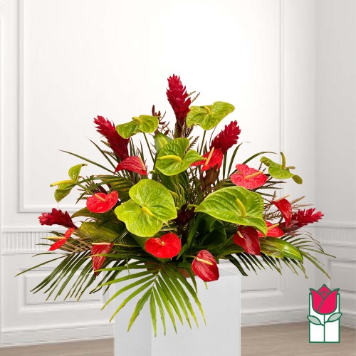Beretania's Noelani Tropical Arrangement (Standard)