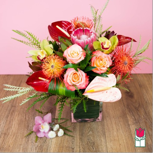 Moonstone Tropical [Varieties Vary] (Standard)