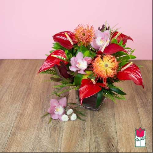 Tropical Love [Varieties Vary] (Standard)