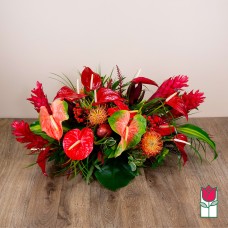 GiftbloomsTropic Holiday Centerpiece (Standard)