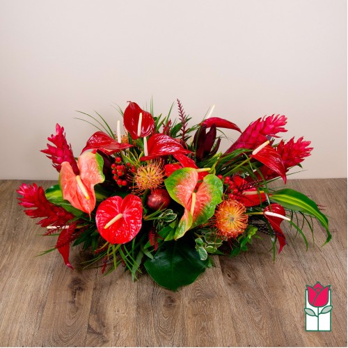 GiftbloomsTropic Holiday Centerpiece (Standard)