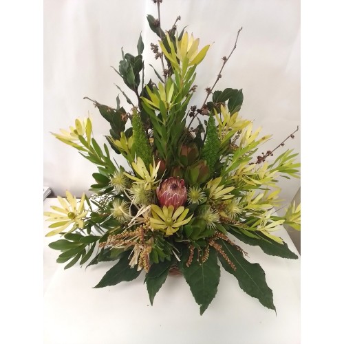 Green Arrangement with Proteas and Leucadendron
