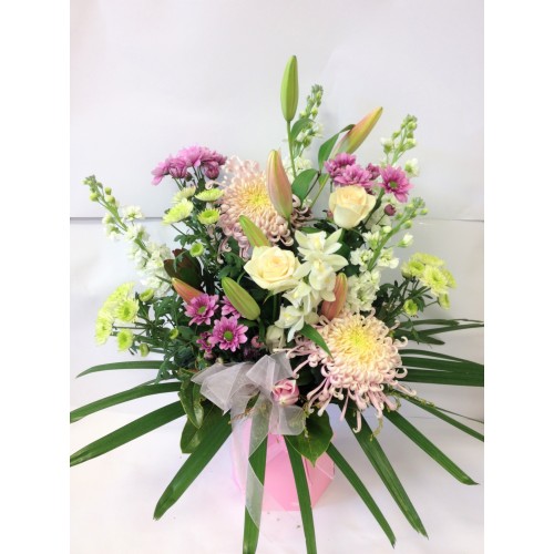 Soft Pastel Water Box