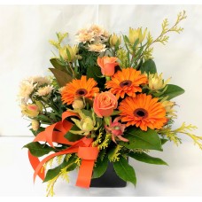 Clearly Orange Water Box (Small)