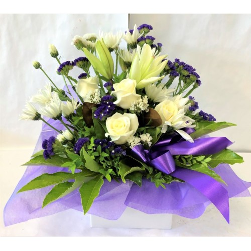 Square Water Box in Purple & White (Small)