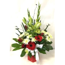 Red and White Water Box