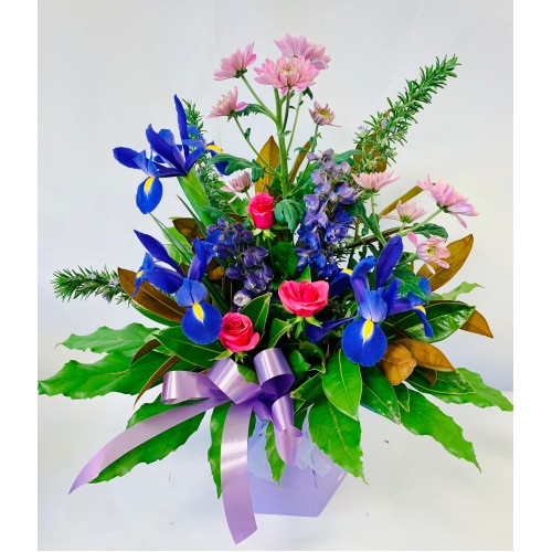 Large Purple & Pink Waterbox