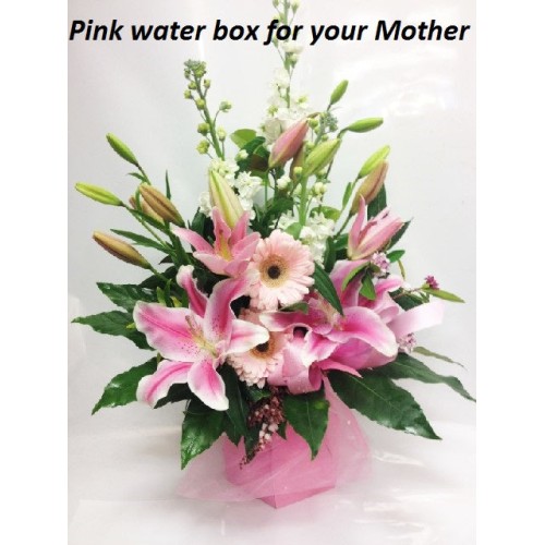 Pastel Pink Water Box