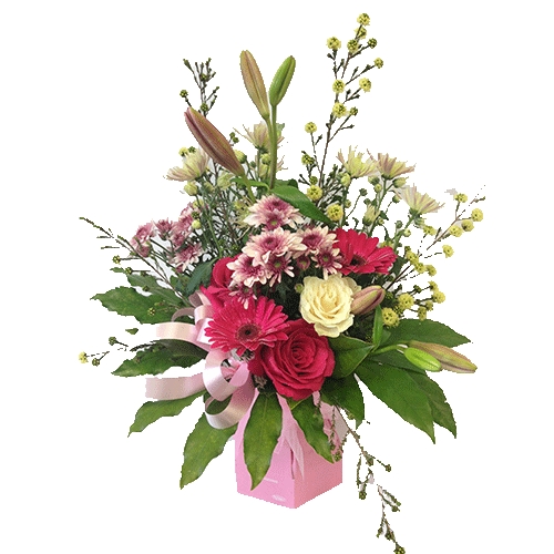 Bright Pink and Soft Coloured Water Box