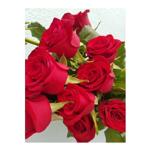 Red Roses with Foliage and Wrap
