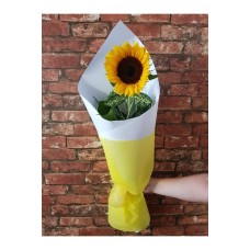 Single Sunflower