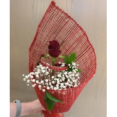 Single red Rose