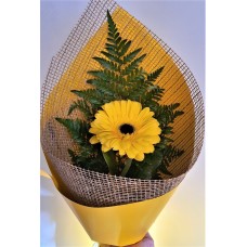 Single Gerbera