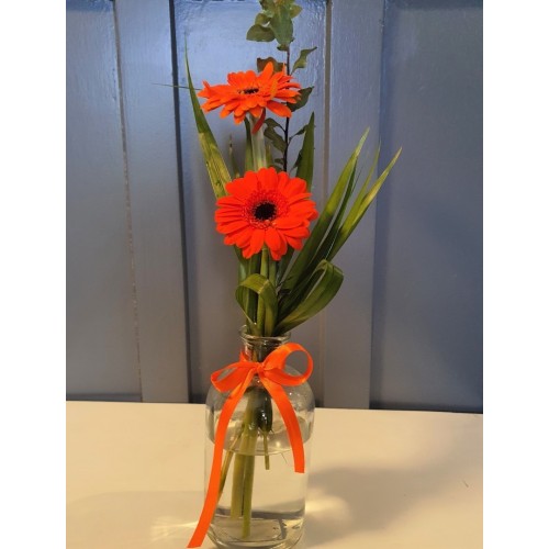 Gerberas in Glass