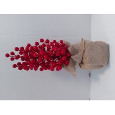 Red Berry Tree