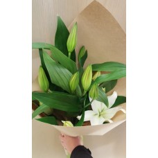 White Lilys or Pink Oriental Lilys
