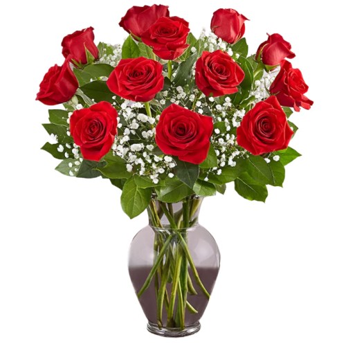Premium Dozen Red Roses Arranged with Filler
