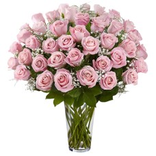 Premium Pink Roses Arranged with Filler (18 Stems)