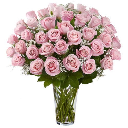 Premium Pink Roses Arranged with Filler (18 Stems)