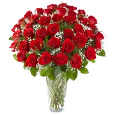 Premium Red Roses Arranged with Filler (18 Stems)
