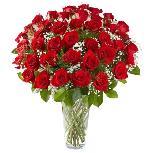 Premium Red Roses Arranged with Filler (18 Stems)
