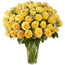 Premium Yellow Roses Arranged with Filler (18 Stems)