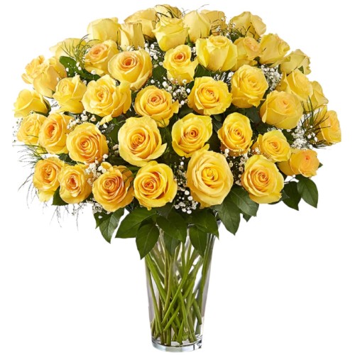 Premium Yellow Roses Arranged with Filler (18 Stems)