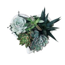 Concrete Heart Succulent Garden