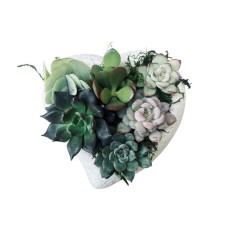 Mini Concrete Heart Succulent Garden