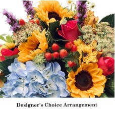 Designers Choice Arrangement (Standard)