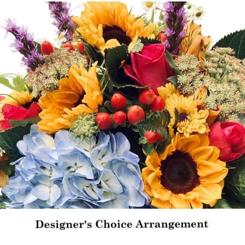 Designers Choice Arrangement (Standard)