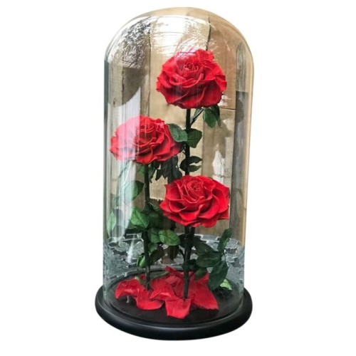 Enchanted Beauty Triple Rose
