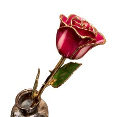 Gold Dipped Abracadabra Rose