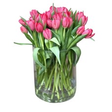 Premium Tulip Cylinder