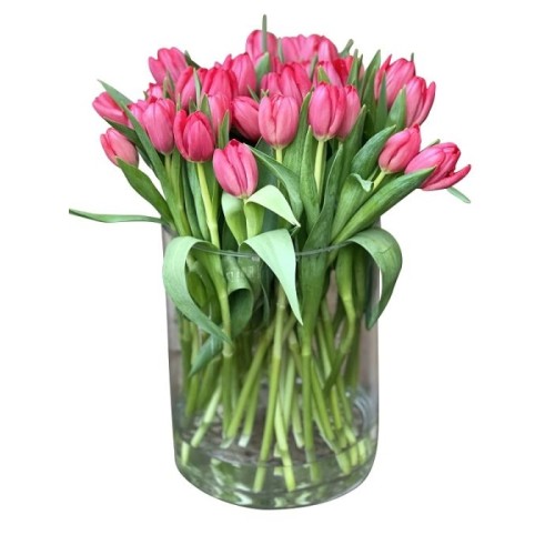 Premium Tulip Cylinder