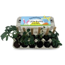 Little Bunny Garden