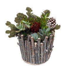 Festive Succulent Garden