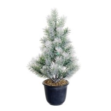 Mini Silk Angel Pine in Pot