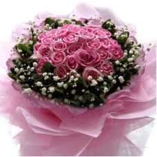 Pink Blooms