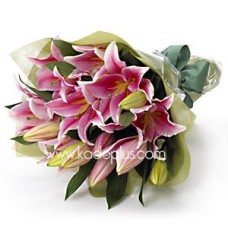 Beautiful Oriental Lilies
