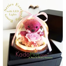 Bear and Eternity Preserved Rose with LED