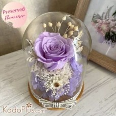 Eternal Preserved Rose Purple