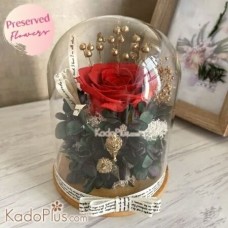 Eternal Preserved Rose Red