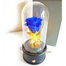 Everlasting Blue Rose Glass Dome with Bluetooth Speaker & LED Lights