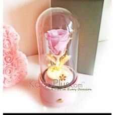 Everlasting Pink Rose Glass Dome with Bluetooth Speaker & LED Lights